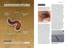 Laden Sie das Bild in den Galerie-Viewer, Buch über Angeln an Nordsee und Ostsee: Seeringelwurm als Köder (8696160747787)