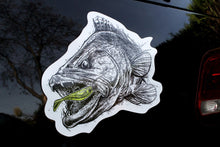 Laden Sie das Bild in den Galerie-Viewer, Zander-Aufkleber fürs Auto (8011833049355)