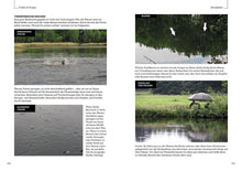 Laden Sie das Bild in den Galerie-Viewer, Fische finden mit dem Angelbuch für Anfänger von Dr. Catch (6946495463584)
