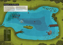 Laden Sie das Bild in den Galerie-Viewer, Dr. Catch Forellen angeln Buch (6602727489696)