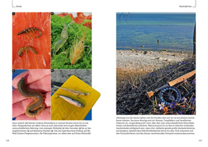 Fliegenfischen-Buch Meerforelle (8263141327115)