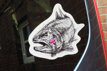Laden Sie das Bild in den Galerie-Viewer, Stickerbogen Forellen-Aufkleber (6651513274528)