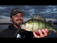 Laden und Abspielen von Videos im Galerie-Viewer, BARSCH – Angeln mit Kunstködern