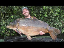 Laden und Abspielen von Videos im Galerie-Viewer, KARPFEN RIGS