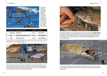 Laden Sie das Bild in den Galerie-Viewer, Tipps zum Schleppangeln auf Hecht (5672815722656)