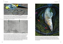 Laden Sie das Bild in den Galerie-Viewer, Posenfischen auf Zander (7991678632203)