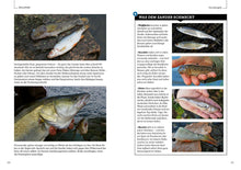 Laden Sie das Bild in den Galerie-Viewer, Zanderbuch von Dr. Catch (7991678632203)