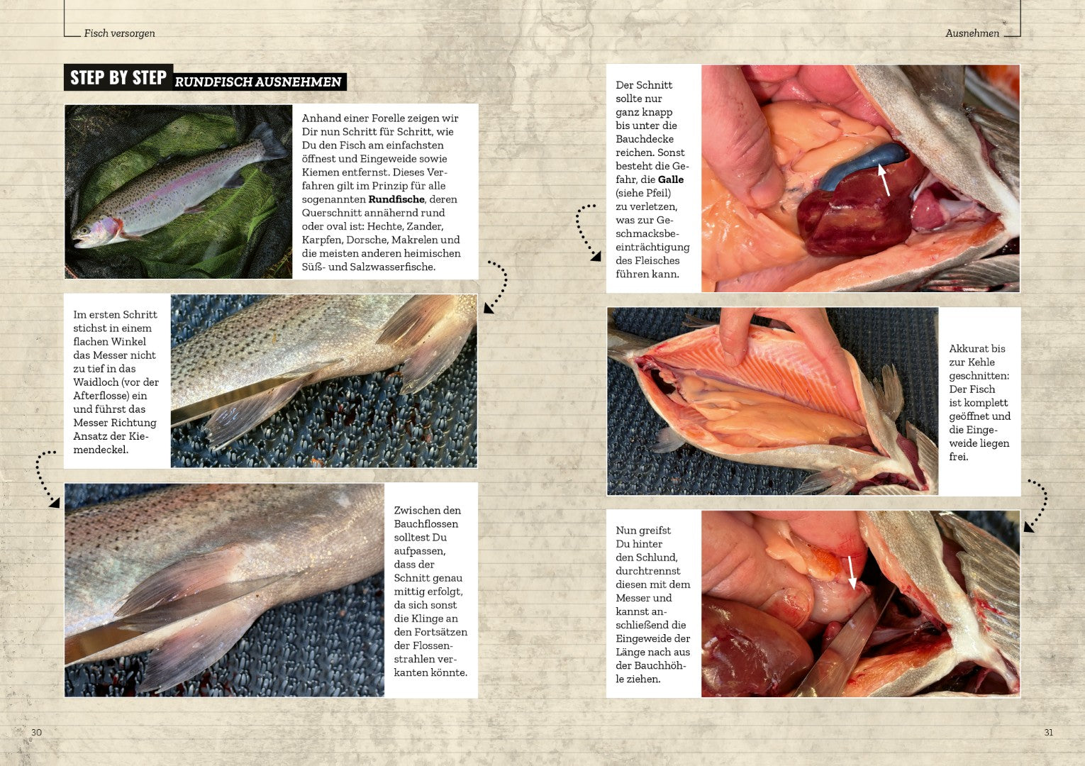 fisch aufbewahren nach fang FISCH – vom Fang bis zur Pfanne – Dr. Catch Shop
