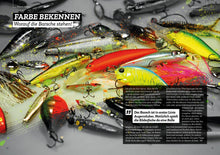 Laden Sie das Bild in den Galerie-Viewer, Köderfarben für Barsche im Angelbuch von Dr. Catch (4737484652684)
